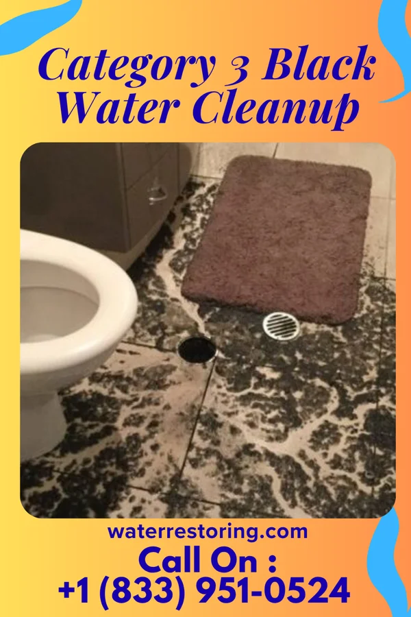 Category 3 Black Water Cleanup in Barry, MN