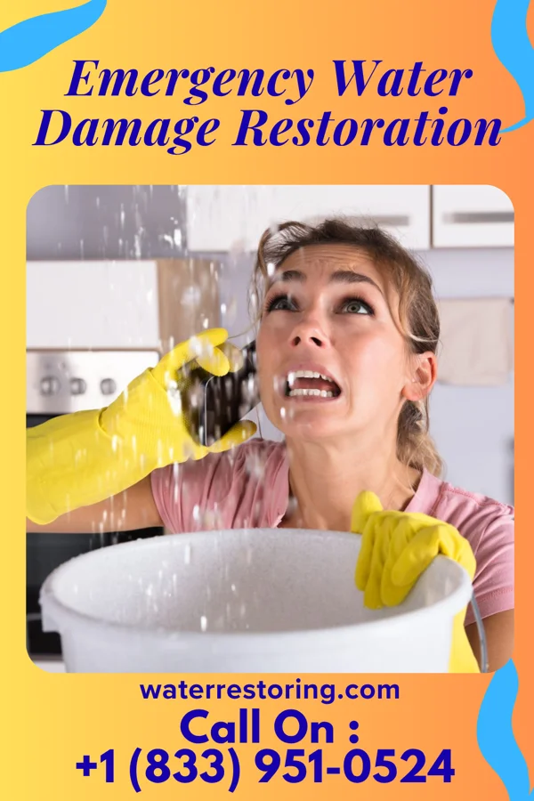 Emergency Water Damage Restoration in Barry, MN