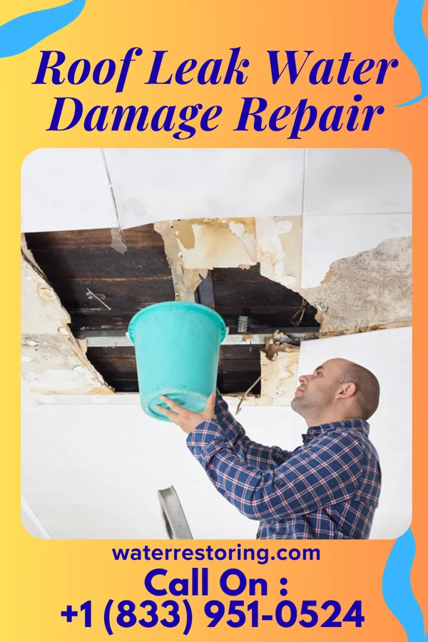 Roof Leak Water Damage Repair in Barry, MN